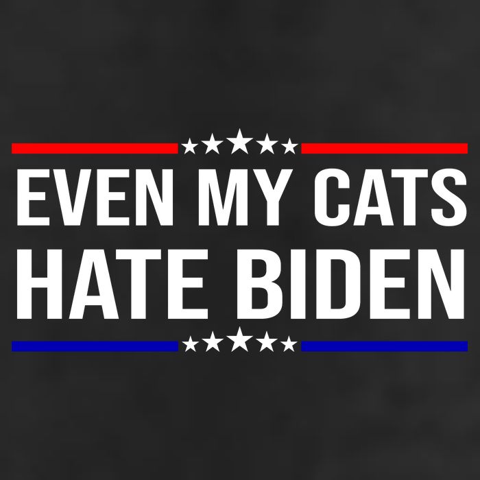 Even My Cats Hate Biden Funny Anti Biden FJB 11oz C Handle Ceramic Mug