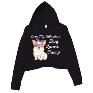 Even My Chihuahua Dog Loves Trump The Felon 2024 Us Election Gift Crop Fleece Hoodie