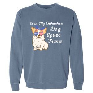 Even My Chihuahua Dog Loves Trump The Felon 2024 Us Election Gift Garment-Dyed Sweatshirt