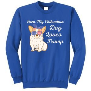 Even My Chihuahua Dog Loves Trump The Felon 2024 Us Election Gift Sweatshirt