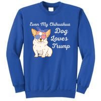 Even My Chihuahua Dog Loves Trump The Felon 2024 Us Election Gift Sweatshirt