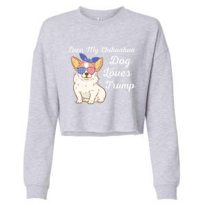 Even My Chihuahua Dog Loves Trump The Felon 2024 Us Election Gift Cropped Pullover Crew