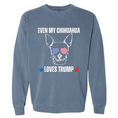 Even My Chihuahua Dog Loves Trump The Felon 2024 Us Election Funny Gift Garment-Dyed Sweatshirt