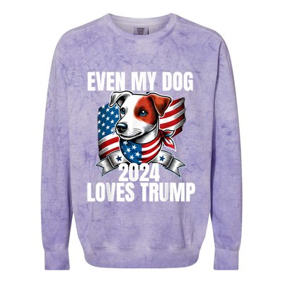 Even My Dog Loves Trump Usa Flag Election Trump Support Colorblast Crewneck Sweatshirt