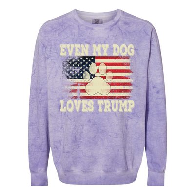 Even My Dog Loves Trump Usa Flag Election Trump Support Colorblast Crewneck Sweatshirt