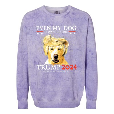 Even My Dog Is Waiting For Trump 2024 Colorblast Crewneck Sweatshirt