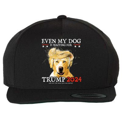 Even My Dog Is Waiting For Trump 2024 Funny Dog Wool Snapback Cap