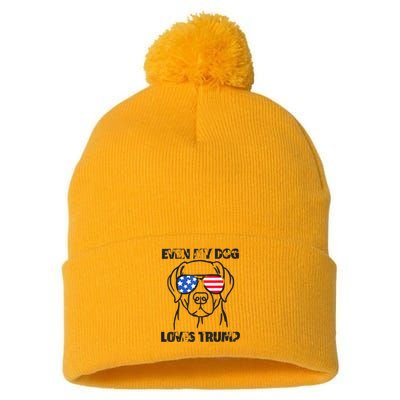 Even My Dog Loves Trump Usa Flag Election Trump Support Pom Pom 12in Knit Beanie