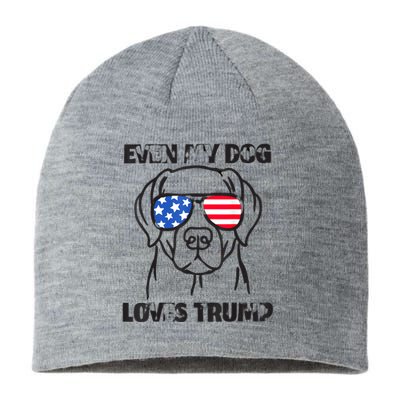 Even My Dog Loves Trump Usa Flag Election Trump Support Sustainable Beanie