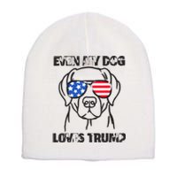 Even My Dog Loves Trump Usa Flag Election Trump Support Short Acrylic Beanie