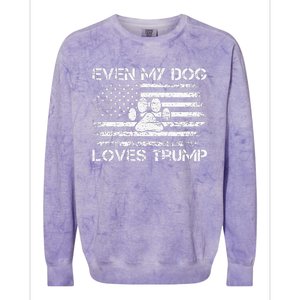 Even My Dog Loves Trump Usa Flag Election Trump Support Colorblast Crewneck Sweatshirt