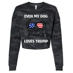 Even My Dog Loves Trump Labrador With Usa Flag Sunglasses Cropped Pullover Crew