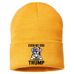 Even My Dog Loves Trump Labrador Dog Sunglasses Usa Flag Sustainable Knit Beanie