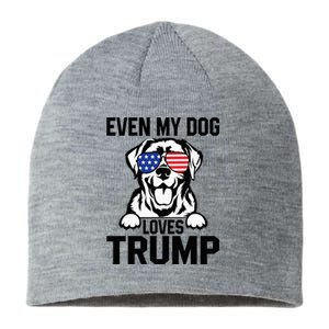 Even My Dog Loves Trump Labrador Dog Sunglasses Usa Flag Sustainable Beanie