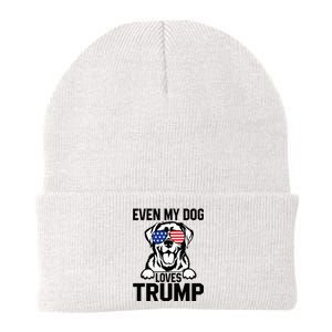 Even My Dog Loves Trump Labrador Dog Sunglasses Usa Flag Knit Cap Winter Beanie