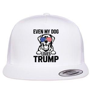 Even My Dog Loves Trump Labrador Dog Sunglasses Usa Flag Flat Bill Trucker Hat