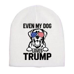 Even My Dog Loves Trump Labrador Dog Sunglasses Usa Flag Short Acrylic Beanie