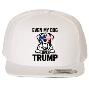 Even My Dog Loves Trump Labrador Dog Sunglasses Usa Flag Wool Snapback Cap