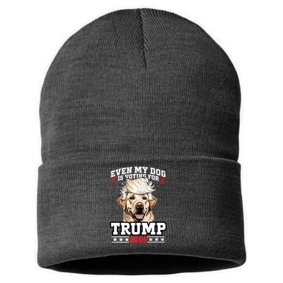 Even My Dog Is Voting For Trump 2024 Sustainable Knit Beanie