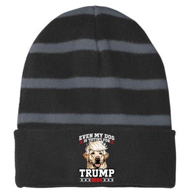 Even My Dog Is Voting For Trump 2024 Striped Beanie with Solid Band