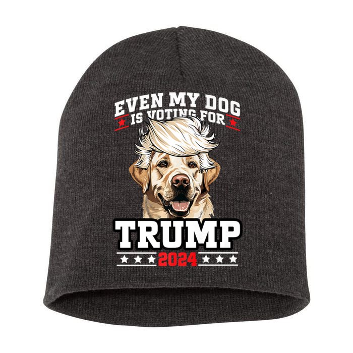 Even My Dog Is Voting For Trump 2024 Short Acrylic Beanie