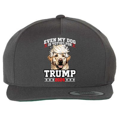 Even My Dog Is Voting For Trump 2024 Wool Snapback Cap