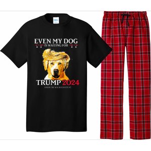 Even My Dog Is Waiting For Trump 2024 Funny Dog Trump Hair Pajama Set