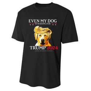 Even My Dog Is Waiting For Trump 2024 Funny Dog Trump Hair Performance Sprint T-Shirt