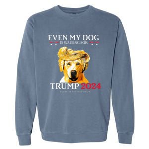 Even My Dog Is Waiting For Trump 2024 Funny Dog Trump Hair Garment-Dyed Sweatshirt