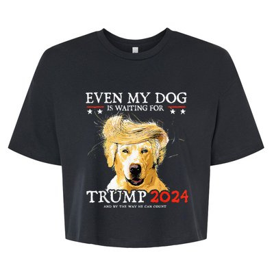 Even My Dog Is Waiting For Trump 2024 Funny Dog Bella+Canvas Jersey Crop Tee