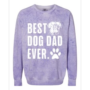 English Mastiff Daddy Dad Best Dog Dad Ever Gift Colorblast Crewneck Sweatshirt