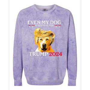 Even My Dog Is Waiting For Trump 2024  Colorblast Crewneck Sweatshirt