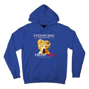 Even My Dog Is Waiting For Trump 2024  Tall Hoodie