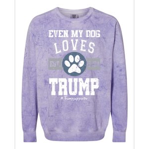 Even My Dog Loves Trump 2024 Election Trump Supporter Vote Gift Colorblast Crewneck Sweatshirt