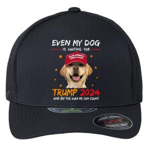 Even My Dog Is Waiting For Trump 2024 Flexfit Unipanel Trucker Cap