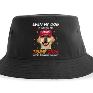 Even My Dog Is Waiting For Trump 2024 Sustainable Bucket Hat