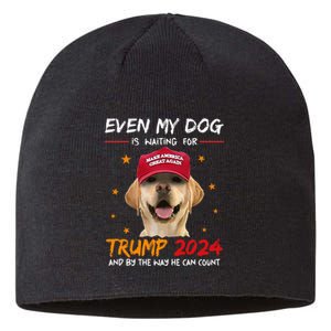 Even My Dog Is Waiting For Trump 2024 Sustainable Beanie