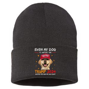 Even My Dog Is Waiting For Trump 2024 Sustainable Knit Beanie