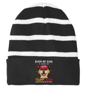 Even My Dog Is Waiting For Trump 2024 Striped Beanie with Solid Band