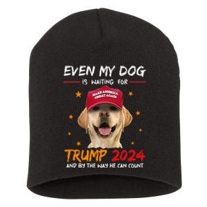 Even My Dog Is Waiting For Trump 2024 Short Acrylic Beanie