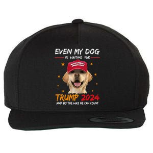 Even My Dog Is Waiting For Trump 2024 Wool Snapback Cap