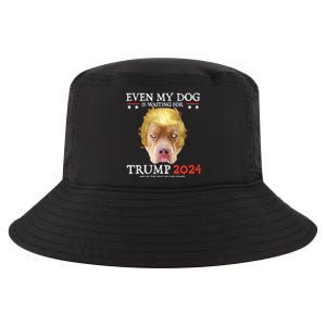 Even My Dog Is Waiting For Trump 2024 Gift Cool Comfort Performance Bucket Hat