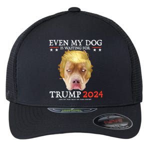 Even My Dog Is Waiting For Trump 2024 Gift Flexfit Unipanel Trucker Cap