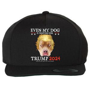 Even My Dog Is Waiting For Trump 2024 Gift Wool Snapback Cap