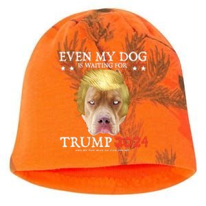 Even My Dog Is Waiting For Trump 2024 Gift Kati - Camo Knit Beanie