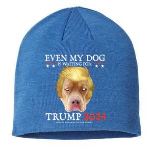 Even My Dog Is Waiting For Trump 2024 Gift Sustainable Beanie