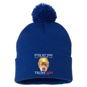 Even My Dog Is Waiting For Trump 2024 Gift Pom Pom 12in Knit Beanie