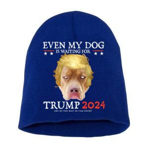 Even My Dog Is Waiting For Trump 2024 Gift Short Acrylic Beanie