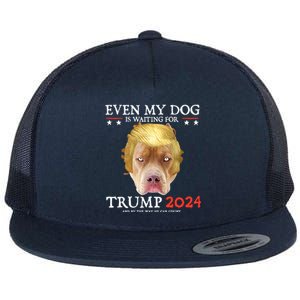 Even My Dog Is Waiting For Trump 2024 Gift Flat Bill Trucker Hat