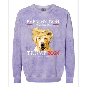 Even My Dog Is Waiting For Trump 2024 Colorblast Crewneck Sweatshirt